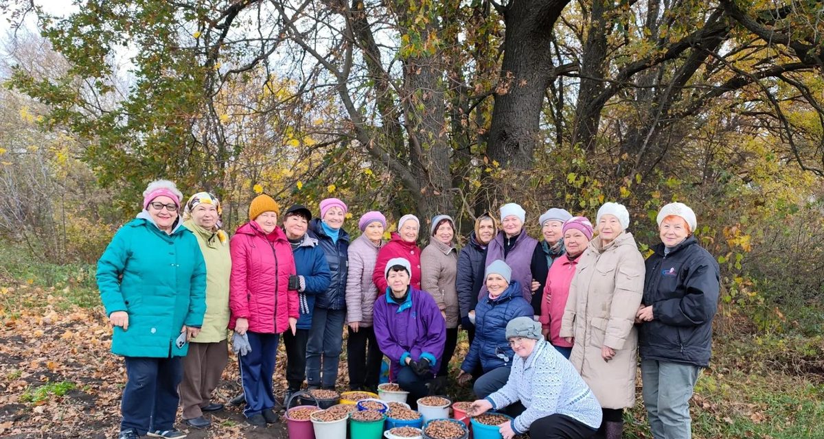«Серебряные» активисты из «Курского долголетия» собрали больше 100 кг желудей